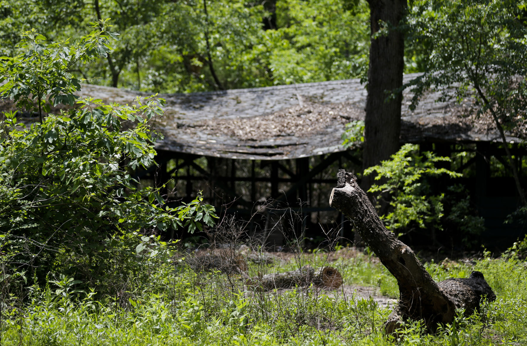 camp scott girl scout murder